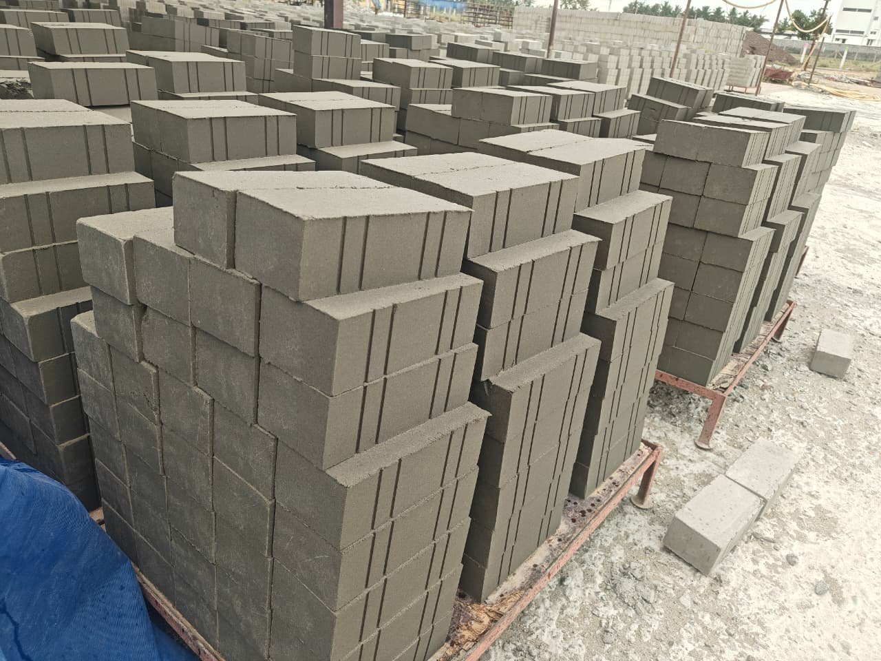Kovai Bricks Premium Quality - 11