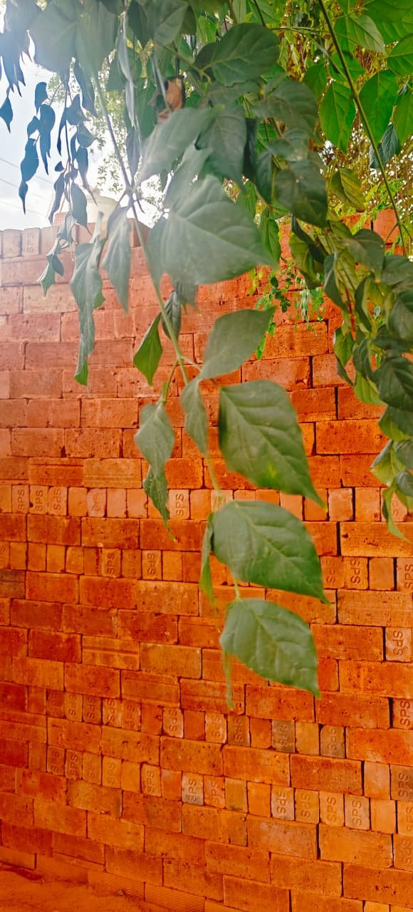 Kovai Bricks Premium Quality - 58