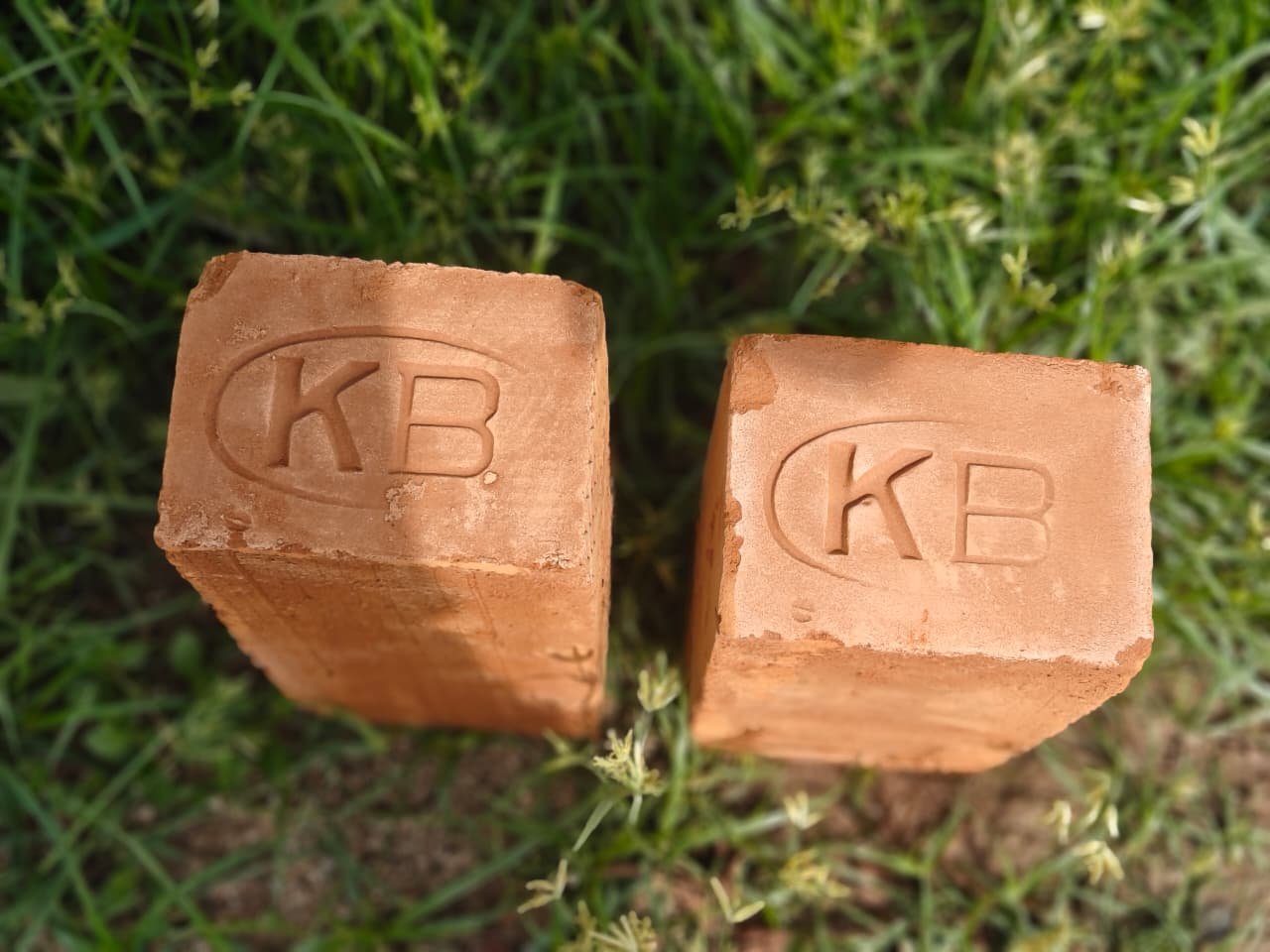 Kovai Bricks Premium Quality - 74
